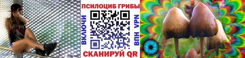 Галлюциногенные грибы Magic Shrooms  гидра ссылки  Оса 